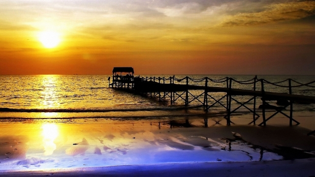 直播行业的前景和现状？